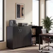 Vinsetto Dulap pentru Documente, cu Încuietoare, 2 Uși și Raft Interior, 80x40x80 cm, Negru | Aosom Romania 