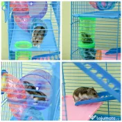 Pawhut Cusca Hamsteri 5 Etaje – Albastra cu Accesorii Incluse 