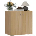 Homcom Dulap Lemn 70×39×70 cm – Cu 2 Usi, Ideal Birou & Living