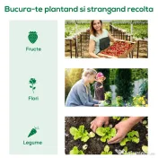 Outsunny Sera de Gradina cu Rafturi din Metal si Copertina din PE, Sera pentre Legume cu Usa Rulou 80x49x160cm, Verde | Aosom Romania 