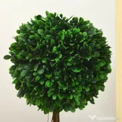 HOMCOM Set 2 Plante Decorative Sferice 60cm, Frunze Lemn de Santal, Verzi, pentru Decor Interior/Exterior | Aosom Romania 