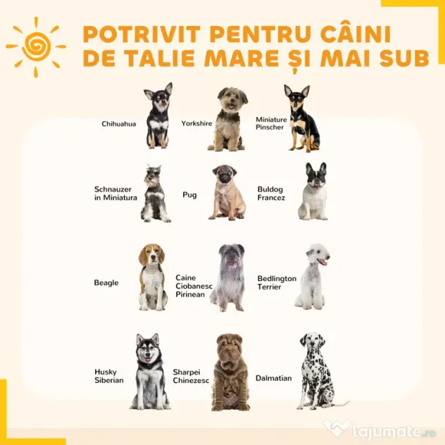 Pawhut tarc Joaca pentru Caini – 6 Panouri Rezistente | Aosom Romania