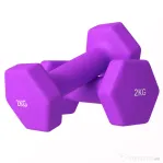 SPORTNOW Set 2 gantere 2x2 kg hexagonale și antiderapante pentru acasă și sală, din metal și plastic, 16x7,5x7,5 cm, violet