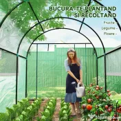 Outsunny Seră tip Tunel Walk-In 300 x 200 cm - Verde | Aosom Romania 