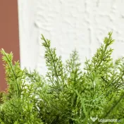 HOMCOM Plantă Artificială Cedru Rezistentă la Raze UV cu Ghiveci, Ø14,5x55 cm, Verde | Aosom Romania