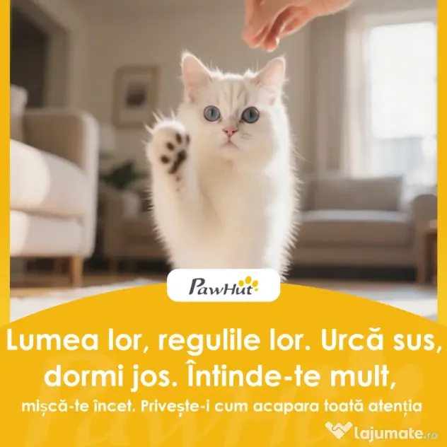 PawHut Ansamblu de joacă pentru pisici cu 2 căsuțe, culcuș și Hamac, 140 cm, Gri | Aosom Romania