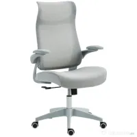 HOMCOM Scaun de birou ergonomic cu cotiere reglabile și tetieră, gri | Aosom Romania