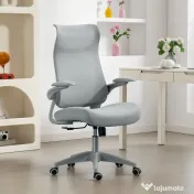 HOMCOM Scaun de birou ergonomic cu cotiere reglabile și tetieră, gri | Aosom Romania