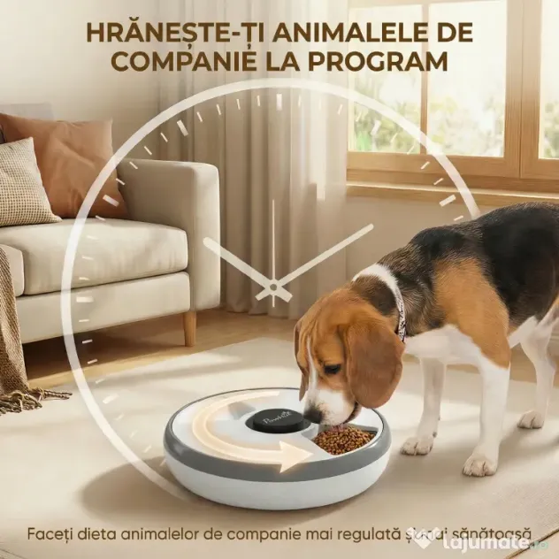 PawHut distribuitor automat cu timer | Aosom Romania