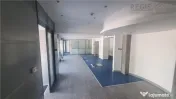 Spatiu comercial versatil in Centrul Civic 