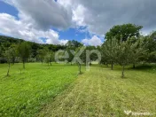 Casă P+M la roșu 188 mp și teren de 3.400 mp cu livadă i