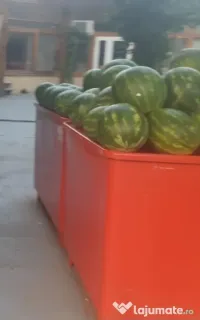 Tarabă piață din fibră de sticlă – stare bună – 100 €/buc