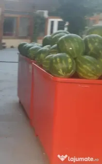 Tarabă piață din fibră de sticlă – stare bună – 100 €/buc