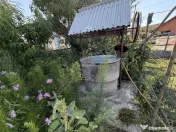 CASUTA BUNICII cu 15 arii teren- in Bargau ( Cicarlau ) 
