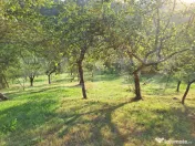 Casă de vânzare în Almașu Mare – liniște, natură și 
