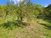 Casă de vânzare în Almașu Mare – liniște, natură și 