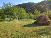 Casă de vânzare în Almașu Mare – liniște, natură și 