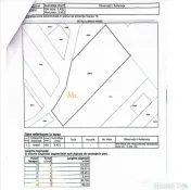 Teren pentru constructie casa cu utilitati – Ciolpani, ...