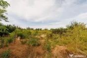 Casa+teren 2.140 mp de vanzare – Ciesti, Lunca Corbului... 