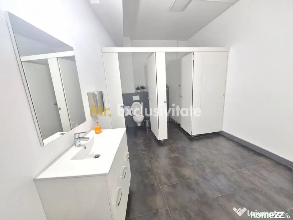 Spatiu Comercial Multifunctional Banat-CLASA A