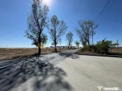 Teren extravilan de vânzare – Căteasca, Argeș | 27.2... 