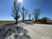 Teren extravilan de vânzare – Căteasca, Argeș | 27.2... 