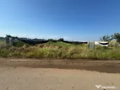 Teren intravilan de vânzare – Cârcea | 1.300 mp | Zona H 