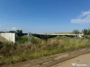 Teren intravilan de vânzare – Cârcea | 1.300 mp | Zona H 
