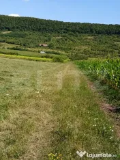 Teren extravilan 5.800 mp, împărțit în 3 loturi – Viil 