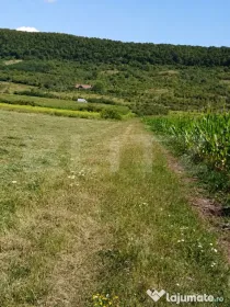 Teren extravilan 5.800 mp, împărțit în 3 loturi, Viile C