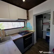 Casa de Vacanta Lepsa 