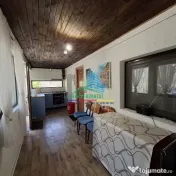 Casa de Vacanta Lepsa 