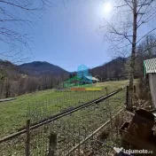 Casa de Vacanta Lepsa 