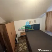 Casa de Vacanta Lepsa 
