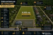 Teren intravilan 8.000 mp | Crâng Petrești