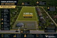 Teren intravilan 8.000 mp | Crâng Petrești 