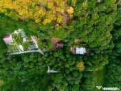 Casă de vacanță de vânzare în Drăganu, Spațiu verde și aer curat