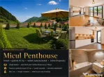 Priveliste de vis din MIcul Penthouse, terasa gradina 50 m