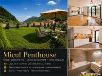 Priveliste de vis din MIcul Penthouse, terasa gradina 50 m