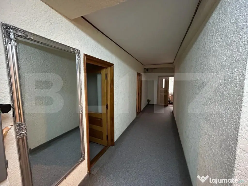 Casa individuala, 380 mp utili, pretabila pentru activitati