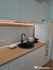 Timpuri noi piscului moderna cu centrala