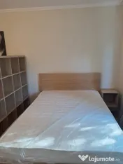 Timpuri noi piscului moderna cu centrala