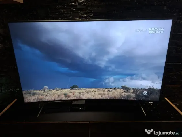 Televizor Smart LED Curbat Samsung 65TU8372, 163 cm, 4K Ultra HD, HDR