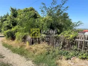 Teren 1541 mp sat comuna Buhoci str Prunului jud Bacau