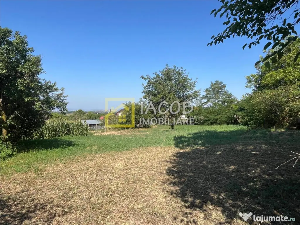 Teren 1541 mp sat comuna Buhoci str Prunului jud Bacau