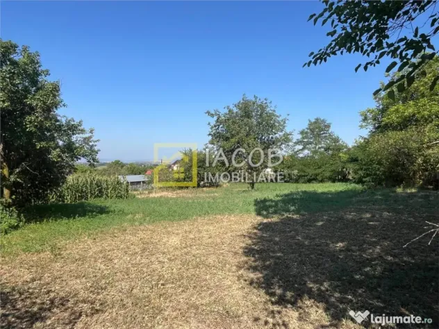 Teren 1541 mp sat comuna Buhoci str Prunului jud Bacau
