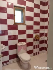 Casa individuala cu 2 camere de inchiriat, 90 mp , Campia Tu 