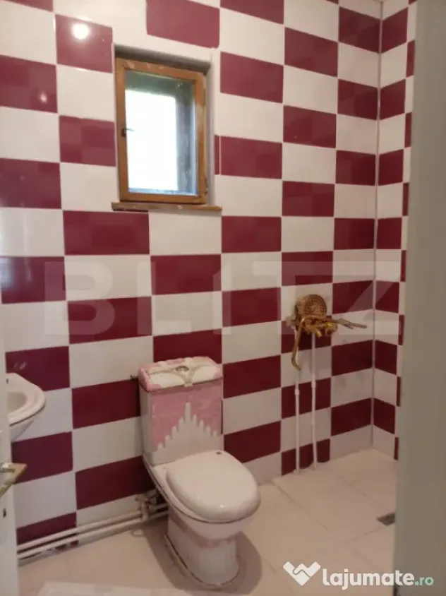 Casa individuala cu 2 camere de inchiriat, 90 mp , Campia Tu
