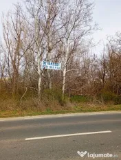 Teren intravilan 5.000 m² cu 40 m deschidere la DN2A –...