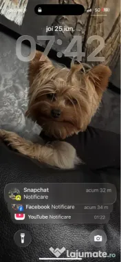 Yorkshire terrier mini toy